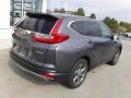 Gunmetal Metallic - CR-V EX AWD Photo No. 11