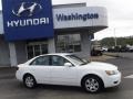 Powder White Pearl - Sonata GLS Photo No. 2