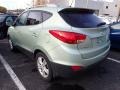 Kiwi Green - Tucson GLS AWD Photo No. 2