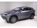 Nebula Gray Pearl - NX 300 AWD Photo No. 3