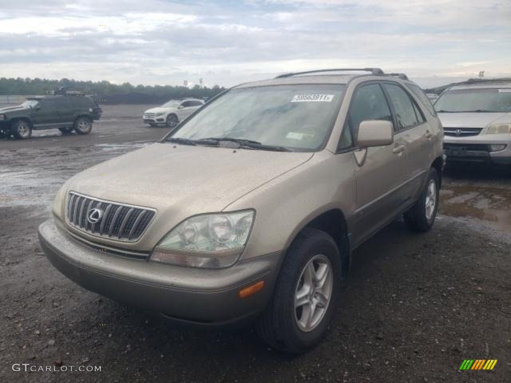 2001 RX 300 - Burnished Gold Metallic / Ivory photo #2