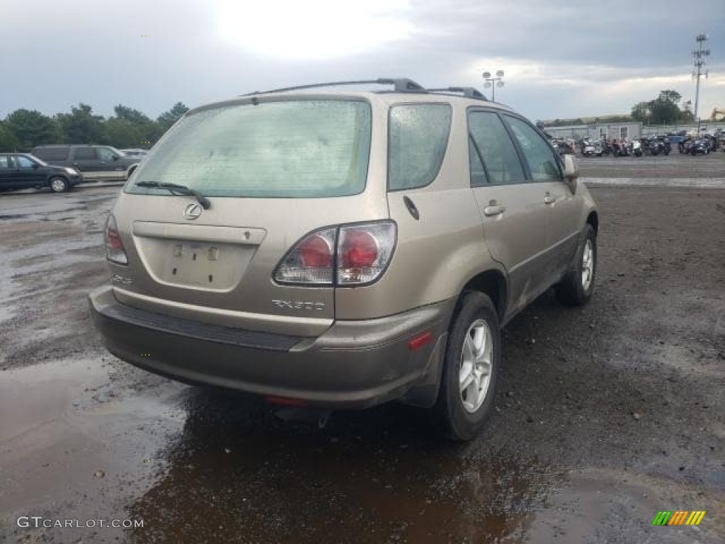 2001 RX 300 - Burnished Gold Metallic / Ivory photo #3