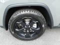 Sting-Gray - Grand Cherokee Laredo 4x4 Photo No. 9