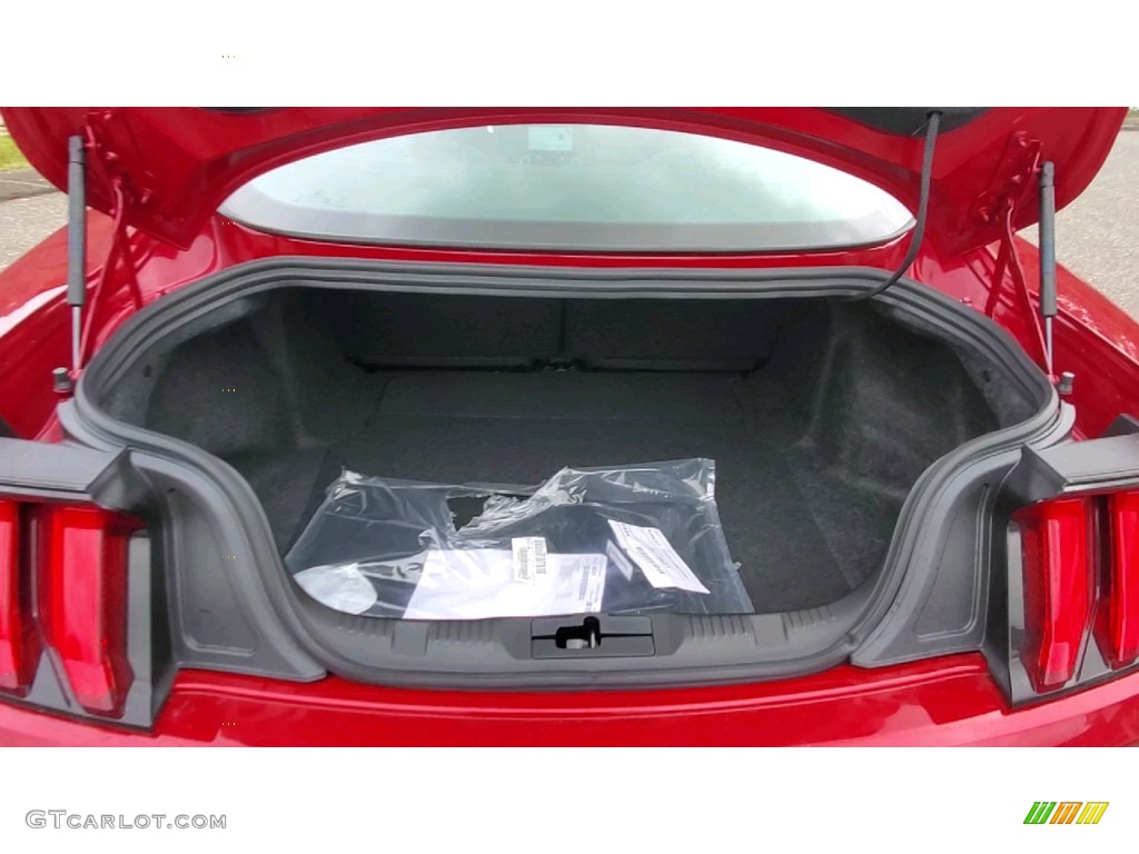 2021 Mustang EcoBoost Fastback - Rapid Red Metallic / Ebony photo #20