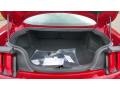 Rapid Red Metallic - Mustang EcoBoost Fastback Photo No. 20