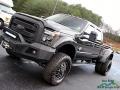 Shadow Black - F450 Super Duty Platinum Crew Cab 4x4 Photo No. 37