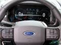 2021 Ford F150 Black Interior Steering Wheel Photo