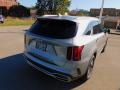 Steel Gray - Sorento Hybrid EX AWD Hybrid Photo No. 2