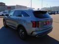Steel Gray - Sorento Hybrid EX AWD Hybrid Photo No. 5