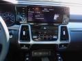 Black Controls Photo for 2022 Kia Sorento Hybrid #143080585