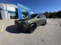 2019 Olive Green Pearl Jeep Cherokee Trailhawk 4x4  photo #1