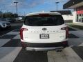 2020 Snow White Pearl Kia Telluride SX AWD  photo #4