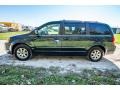 2009 Modern Blue Pearl Chrysler Town & Country Touring  photo #7