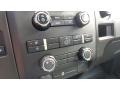 Steel Gray Controls Photo for 2013 Ford F150 #143110010