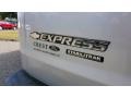 Silver Ice Metallic - Express 3500 Cargo WT Photo No. 9