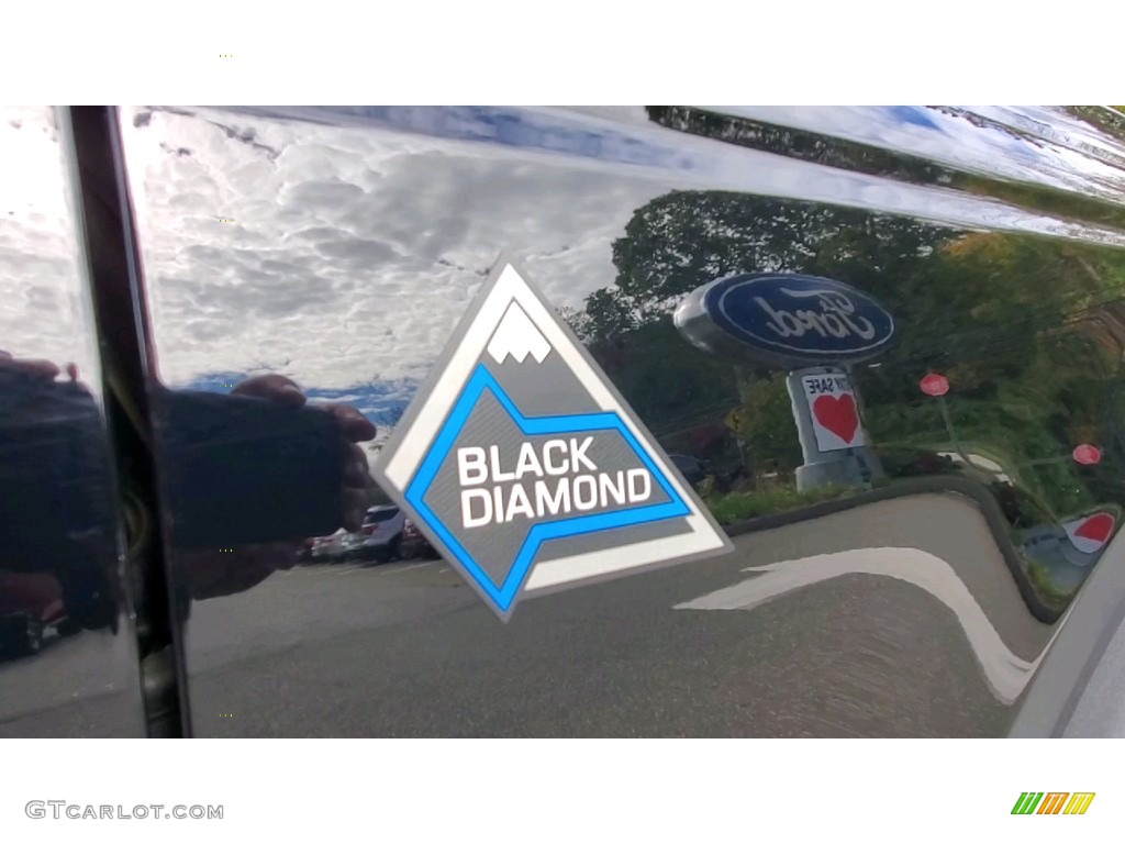 2021 Ford Bronco Black Diamond 4x4 4-Door Marks and Logos Photos