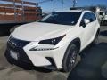 Eminent White Pearl - NX 300 Photo No. 3