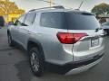 Quicksilver Metallic - Acadia SLE Photo No. 11