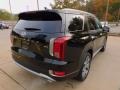 Abyss Black Pearl - Palisade SEL AWD Photo No. 2