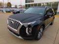 Abyss Black Pearl - Palisade SEL AWD Photo No. 7