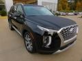 Abyss Black Pearl - Palisade SEL AWD Photo No. 9