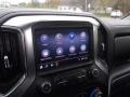 2020 Shadow Gray Metallic Chevrolet Silverado 1500 LT Crew Cab 4x4  photo #29
