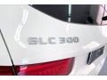 Polar White - GLC 300 Photo No. 31