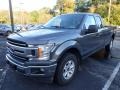 Magnetic 2019 Ford F150 XLT SuperCab 4x4