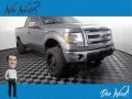 2013 Sterling Gray Metallic Ford F150 XLT SuperCab 4x4 #143160291