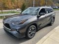 2022 Magnetic Gray Metallic Toyota Highlander XLE AWD  photo #7