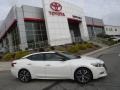 Pearl White - Maxima Platinum Photo No. 2