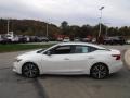 Pearl White - Maxima Platinum Photo No. 12