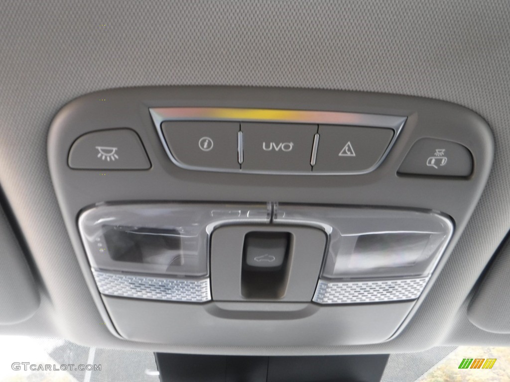 2021 Telluride EX AWD - Gravity Gray / Black photo #9