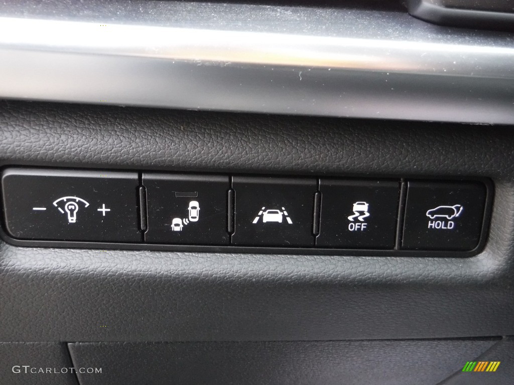 2021 Telluride EX AWD - Gravity Gray / Black photo #22