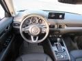 Polymetal Gray - CX-5 Carbon Edition Photo No. 15