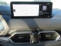 Polymetal Gray - CX-5 Carbon Edition Photo No. 17