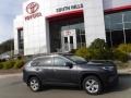 Magnetic Gray Metallic - RAV4 XLE AWD Hybrid Photo No. 2