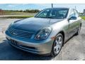 Diamond Graphite Gray Metallic - G 35 x Sedan Photo No. 8