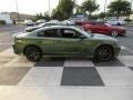 F8 Green - Charger GT Photo No. 3