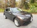 Basalto Brown Metallic 2018 Alfa Romeo Stelvio Ti AWD Exterior