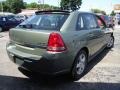 2005 Silver Green Metallic Chevrolet Malibu Maxx LS Wagon  photo #5