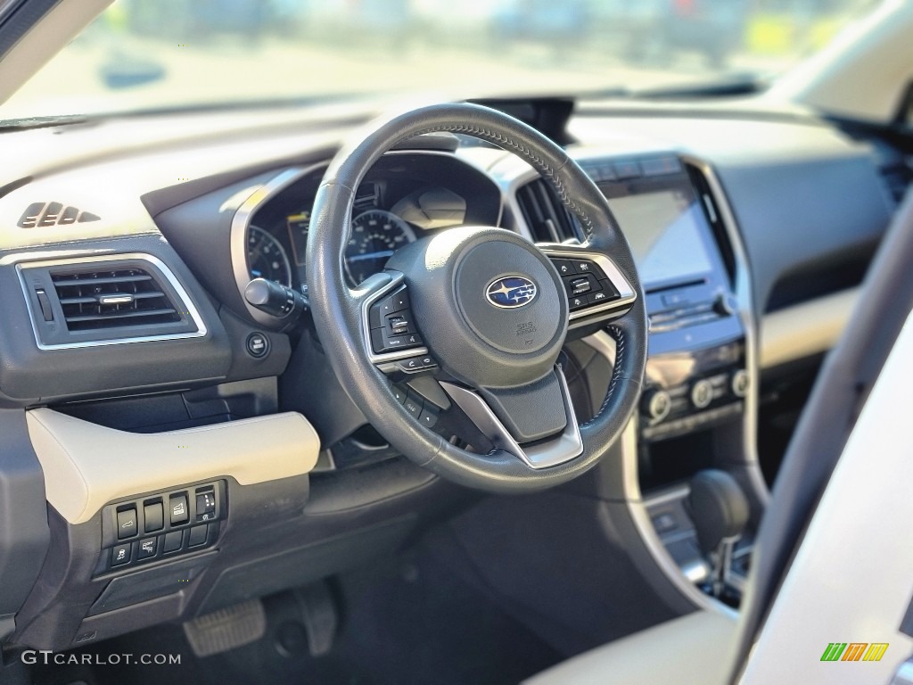 2019 Ascent Limited - Tungsten Metallic / Warm Ivory photo #32