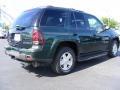 2002 Forest Green Metallic Chevrolet TrailBlazer LTZ 4x4  photo #5