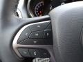 Sting-Gray - Grand Cherokee Laredo 4x4 Freedom Edition Photo No. 19