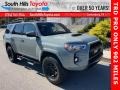 Lunar Rock 2021 Toyota 4Runner TRD Pro 4x4