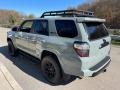  2021 4Runner TRD Pro 4x4 Lunar Rock