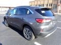 Carbonized Gray Metallic - Escape SEL 4WD Photo No. 5