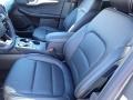 Carbonized Gray Metallic - Escape SEL 4WD Photo No. 13
