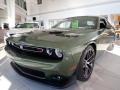 F8 Green - Challenger R/T Scat Pack Photo No. 2