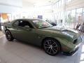 F8 Green - Challenger R/T Scat Pack Photo No. 10